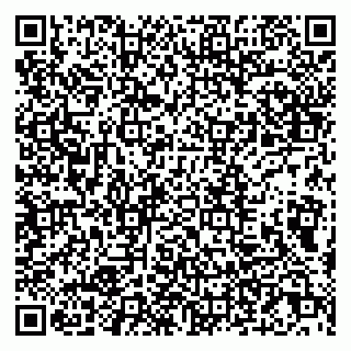 vCard 79807276387