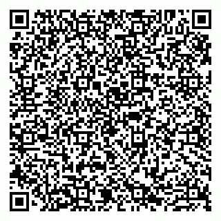 vCard 79807276400