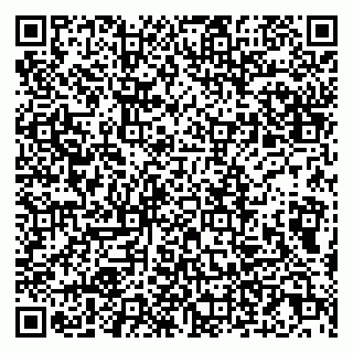 vCard 79807276881