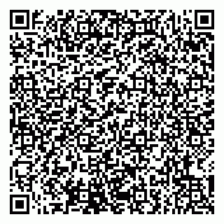 vCard 79807277004