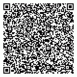 vCard 79807277009