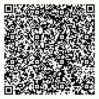 vCard 79807277013