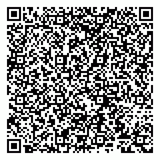 vCard 79807277040