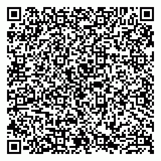 vCard 79807277199
