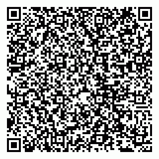 vCard 79807279203