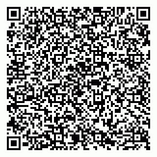 vCard 79807279204