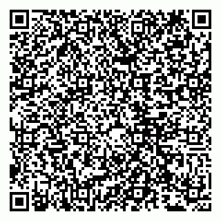 vCard 79807279207