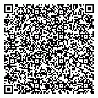 vCard 79807279209