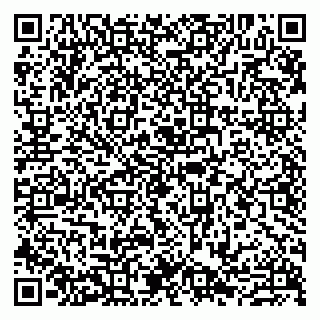 vCard 79807279211