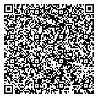 vCard 79807279235