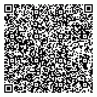 vCard 79807279296