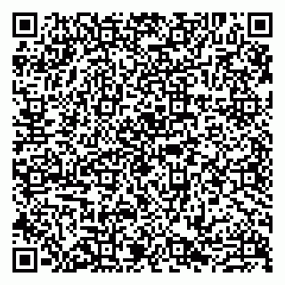 vCard 79807279370