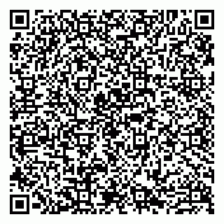 vCard 79807279375
