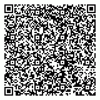 vCard 79807279378