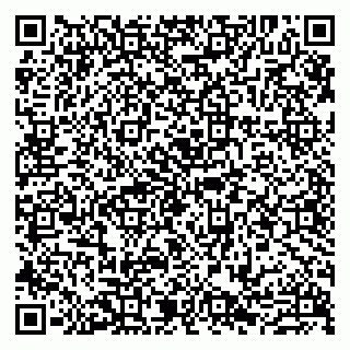 vCard 79807279379