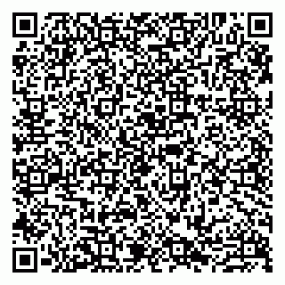 vCard 79807279380