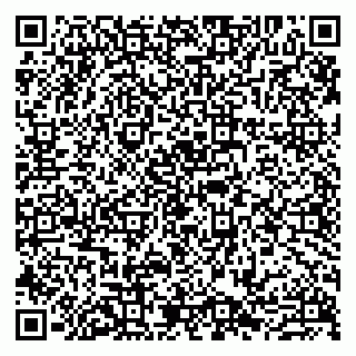 vCard 79807279381