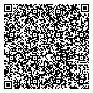 vCard 79807279385