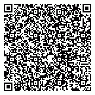 vCard 79807279388