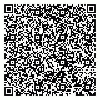 vCard 79807279389