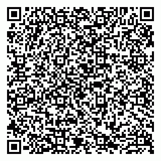 vCard 79807279402