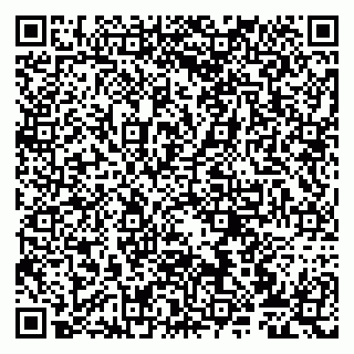 vCard 79807279407