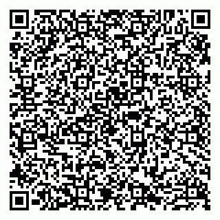 vCard 79807279409