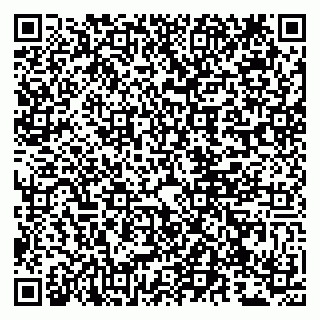 vCard 79807279487