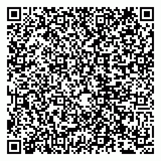 vCard 79807279497