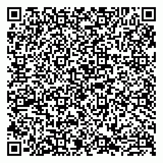 vCard 79807279520