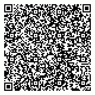 vCard 79807279539