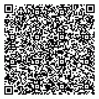 vCard 79807280003