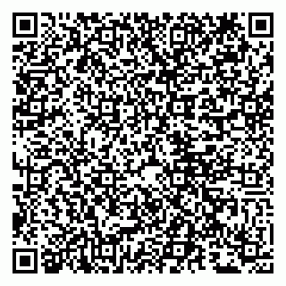 vCard 79807280004