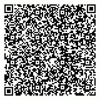 vCard 79807280011