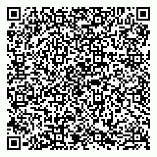 vCard 79807280013