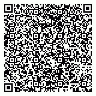 vCard 79807280021