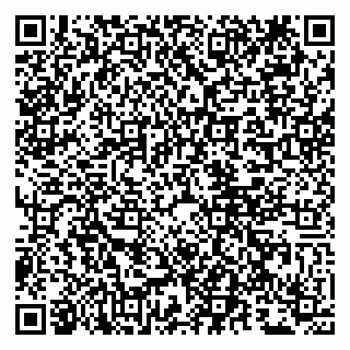 vCard 79807280029