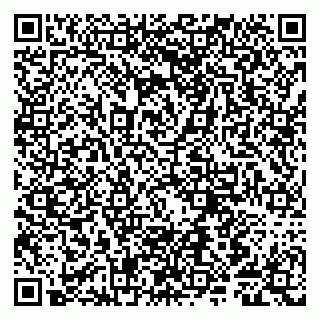 vCard 79807280031