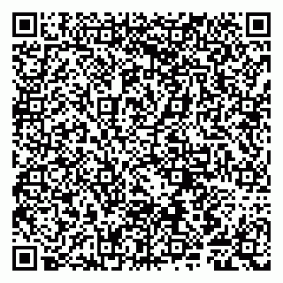 vCard 79807280035
