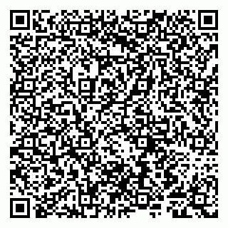 vCard 79807280038