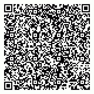 vCard 79807280040