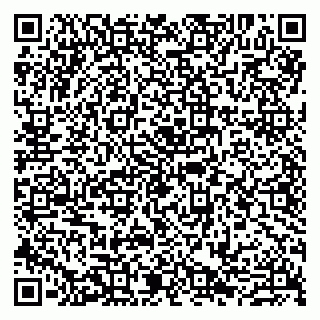 vCard 79807280093