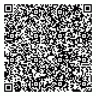 vCard 79807280099