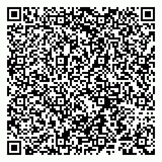 vCard 79807280133