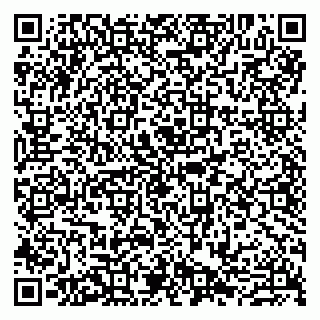 vCard 79807280138