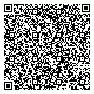 vCard 79807280153