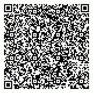 vCard 79807280163