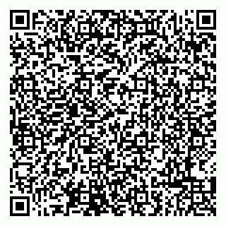 vCard 79807280167