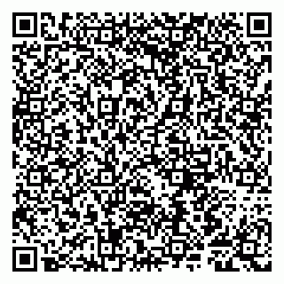 vCard 79807280173