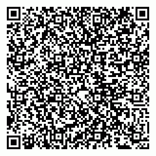 vCard 79807280176